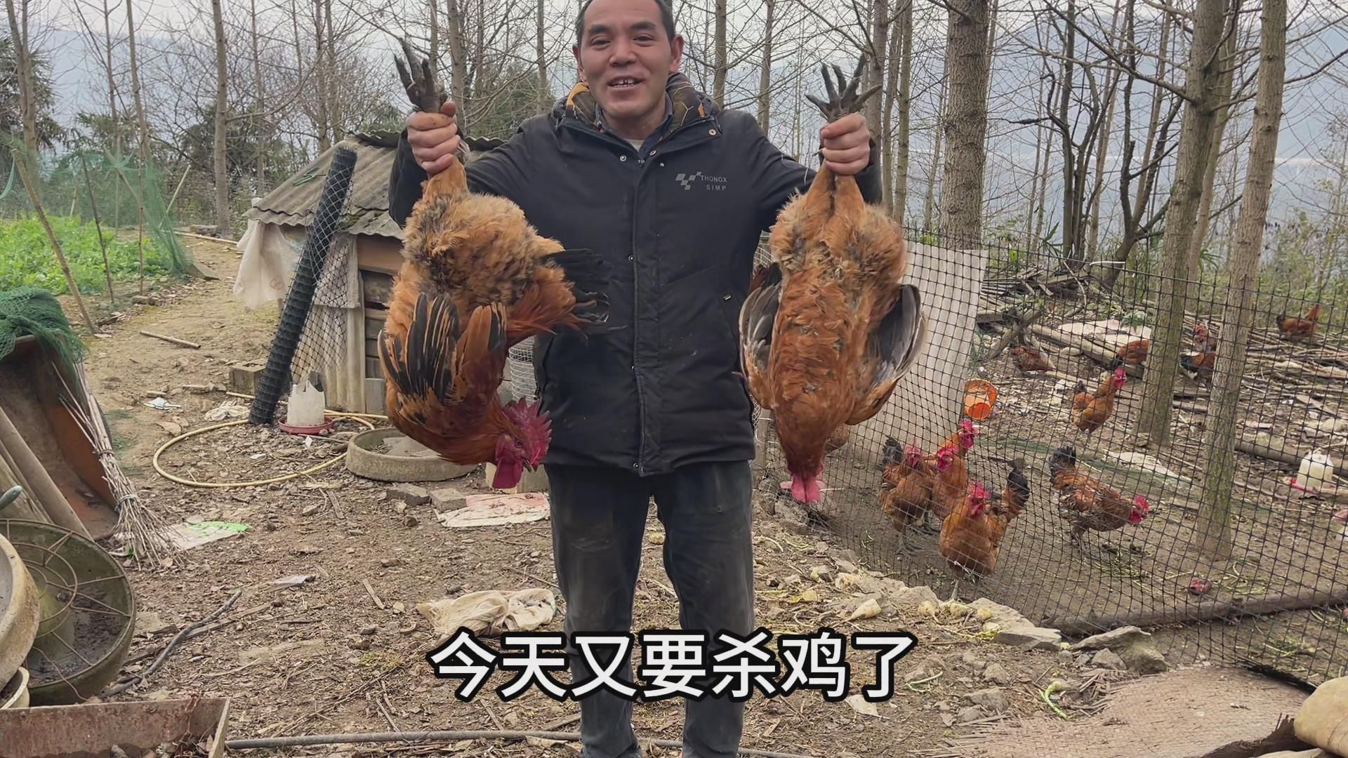 江苏朋友看上农村土鸡，2只15斤重，又打包一堆贵州腊货