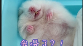 d8c0f6468f2e0cf8a80c143f679e52b30bf476ed.jpg@280w_158h_1c_100q.jpg