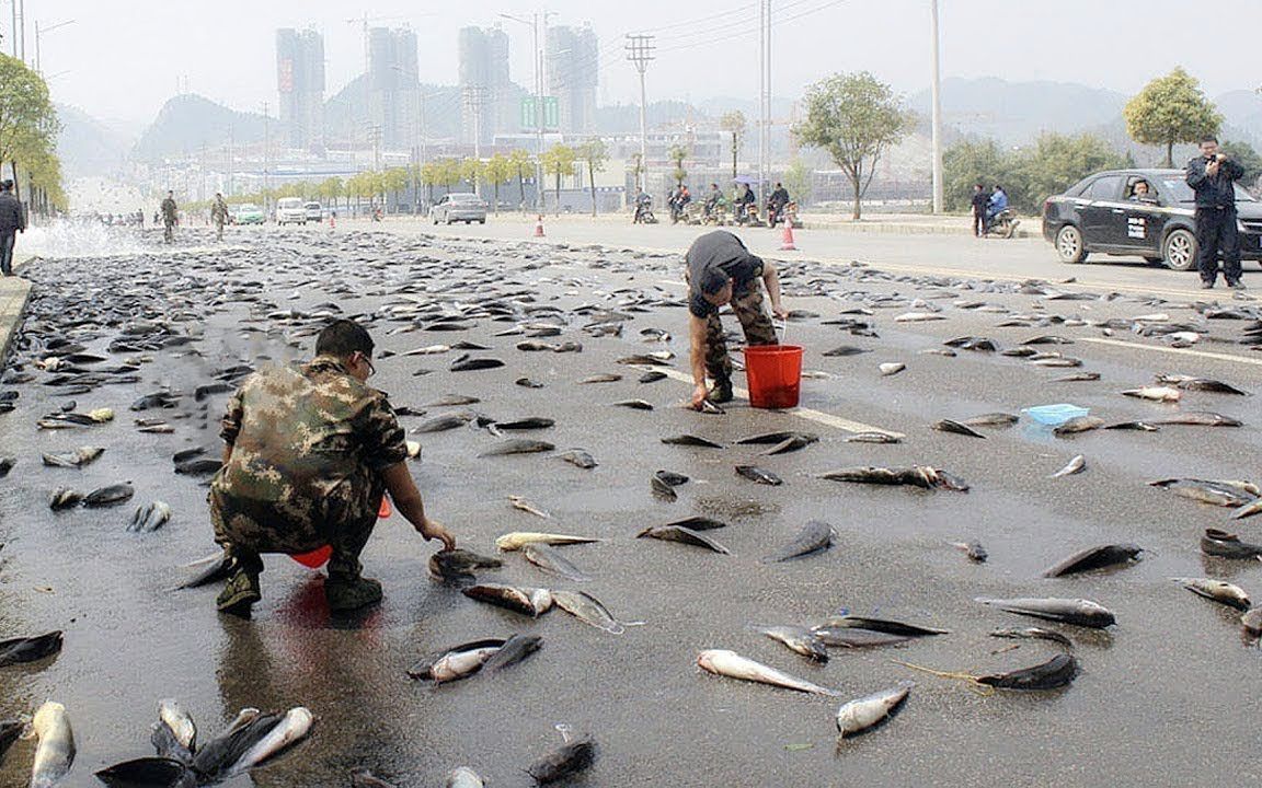 世界上5种最奇特的雨你见过几种