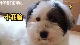 d8d5a9167c98b238646fb49655fc16f955997db1.jpg@280w_158h_1c_100q.jpg
