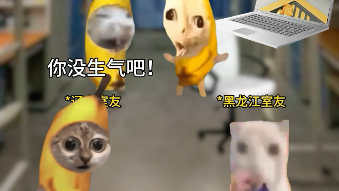 当室友都是东北人时