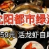 【沈阳都市绿洲海鲜自助】459元 活龙虾任吃！推荐