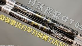 d9106ba5b9a05e44630f53446a9e6c9098511e09.jpg@280w_158h_1c_100q.jpg