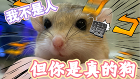 d91c92ee12fb0f7ff73491b795449e3d0593fc1f.jpg@280w_158h_1c_100q.jpg