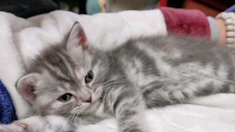 快速入睡法小技巧 d9213a85b789e8567d0f46db1a27bfe40528f4ae.jpg@480w_270h_1c