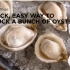 [高清][ChefSteps]高科技厨房学霸Quick,Easy Way 2 Shuck A Bunch of Oyst