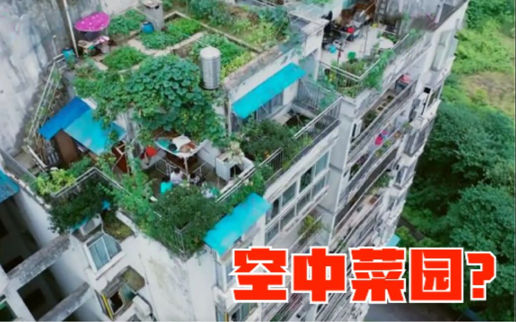离谱！重庆公寓天台冒出一个空中菜园，倒霉蛋赖旭东接下改造任务