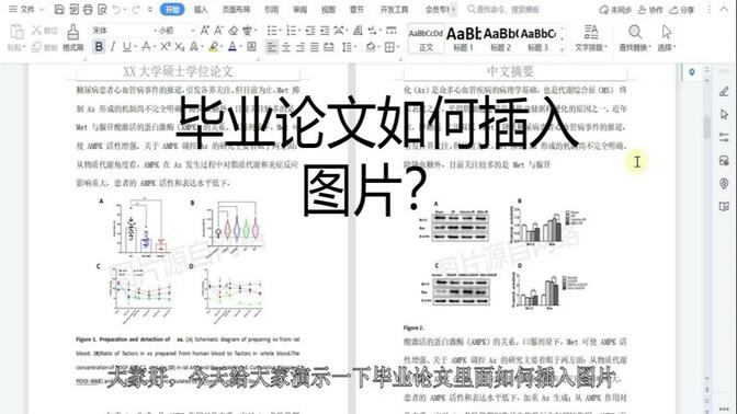 [毕业论文5]毕业论文如何插入图片