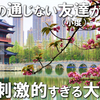 【日本人独自旅行中国】终于在华丽壮观的大都市合肥结识了朋友（小都）！独自一人吃火锅，品尝不知名的新鲜甜点，还有更多——中国大城市比火锅更精彩