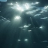 f108 超唯美梦幻阳光光线穿过蓝色海水海底波纹荡漾海浪空镜头动态视频素材