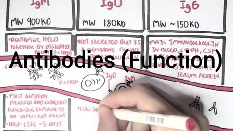 d99095dc5c6eade32b720a2b4136cef965b143ce.jpg@480w_270h_1c