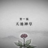 CCTV-9纪录片《人参》1-天地神草