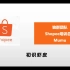 shopee虾皮全套课程--小白都能月入过万的跨境电商平台