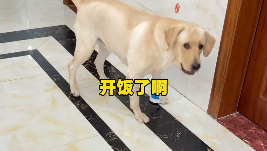 把所有的话都改成：开饭了啊