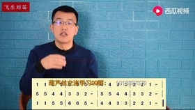 李春华葫芦丝鸿雁曲谱_李春华大使(2)