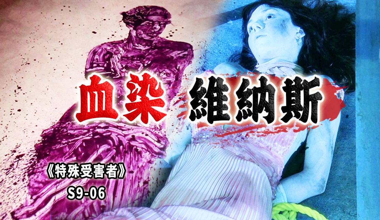 用鲜血作画，把切割当做艺术，妙龄女子横死电梯井《SVU》S9-06
