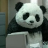 暴力熊猫原版never to say no panda