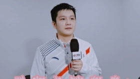 樊振东VS林昀儒，樊振东vs林昀儒交手记录？