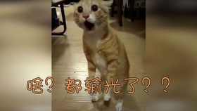 da072fb8c47b0b56dd29ddbbfce29e9bfefaf02d.jpg@280w_158h_1c_100q.jpg