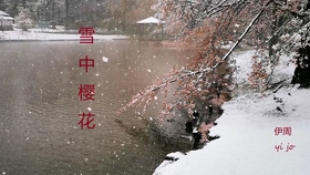 什么时候下雨冬天不冷 da10c8a9ba56e3ecb4610a790debbb2cfda2e631.jpg@280w_158h_1c_100q.jpg