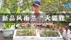 da119cca2552de0109ec14d23983266266fd4cc7.jpg@280w_158h_1c_100q.jpg