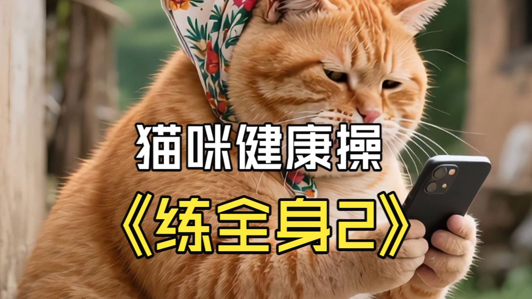 猫咪健康操，轻松练全身（版本2）