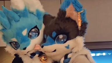 【furry】嘿嘿，吸毛毛，最后没把持住……