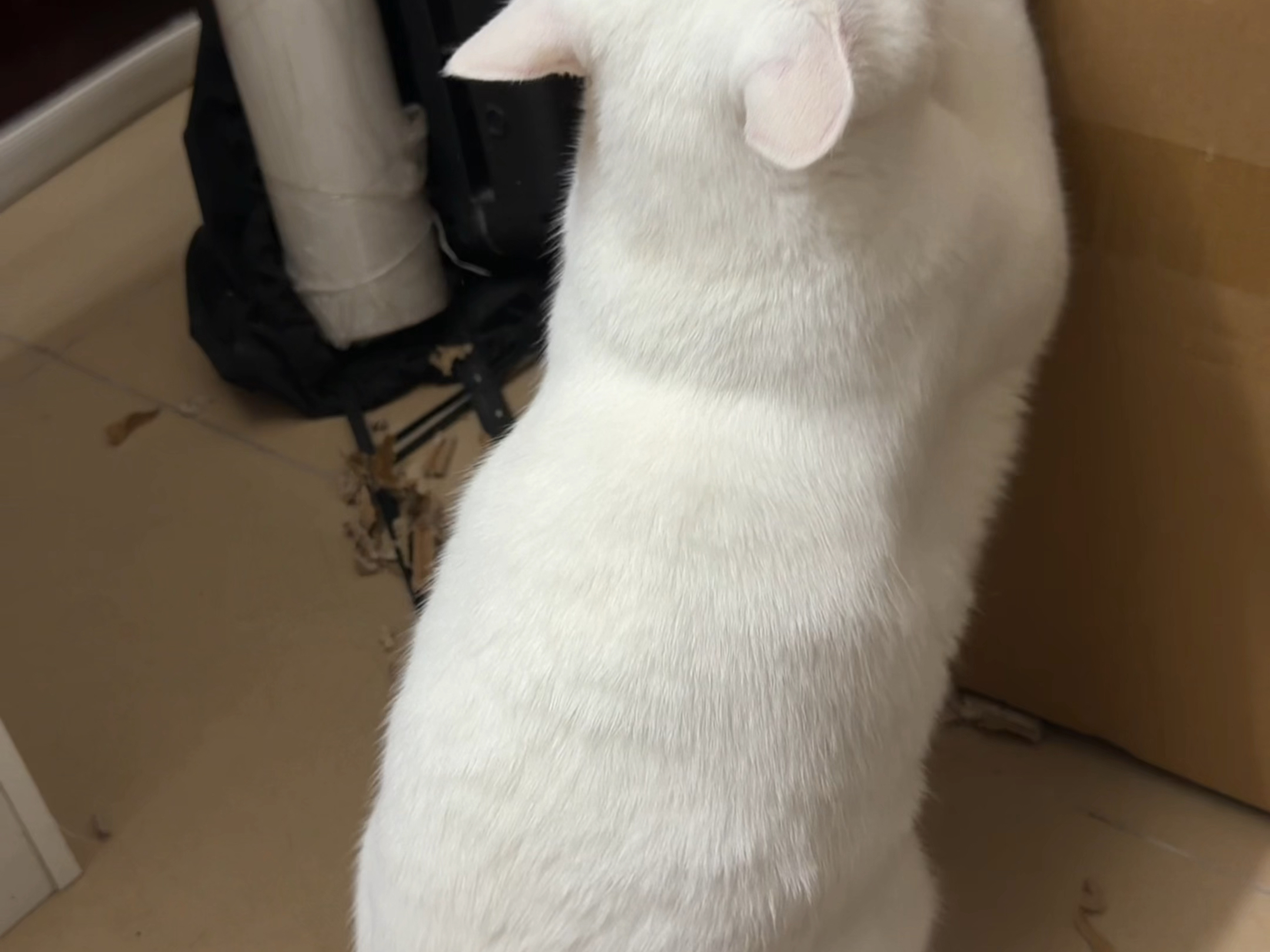 又找到了神奇的代码
