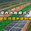 沙漠光伏新模式！希望在沙漠中蓬勃生长