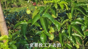 da9641576eed4dfa127b5ada3924e99464c6600f.jpg@280w_158h_1c_100q.jpg