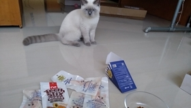 da9d26e25b9bbaee6cc6031ec704e8baf9874a0a.jpg@280w_158h_1c_100q.jpg