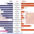 [Woraph]中国VS美国人口,经济,军事全方位对比(1960~2019)