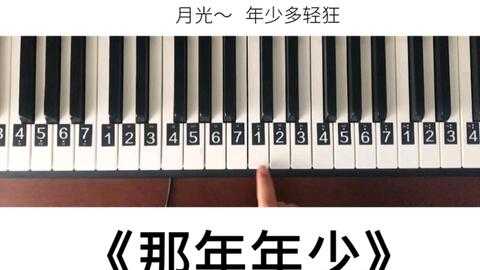 白月光与朱砂痣曲谱新手_白月光与朱砂痣曲谱