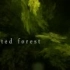 [東方Arrange] Isolated forest [maritumi]