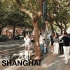 【4K60p】@上海 漫步上海淮海路商业街 - 周末下午 - 网红店打卡地又多了几个？