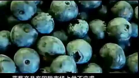 蓝莓视频大全真实 db020506df77457baa86f33b3eeeeb8372d58a92.jpg@480w_270h_1c