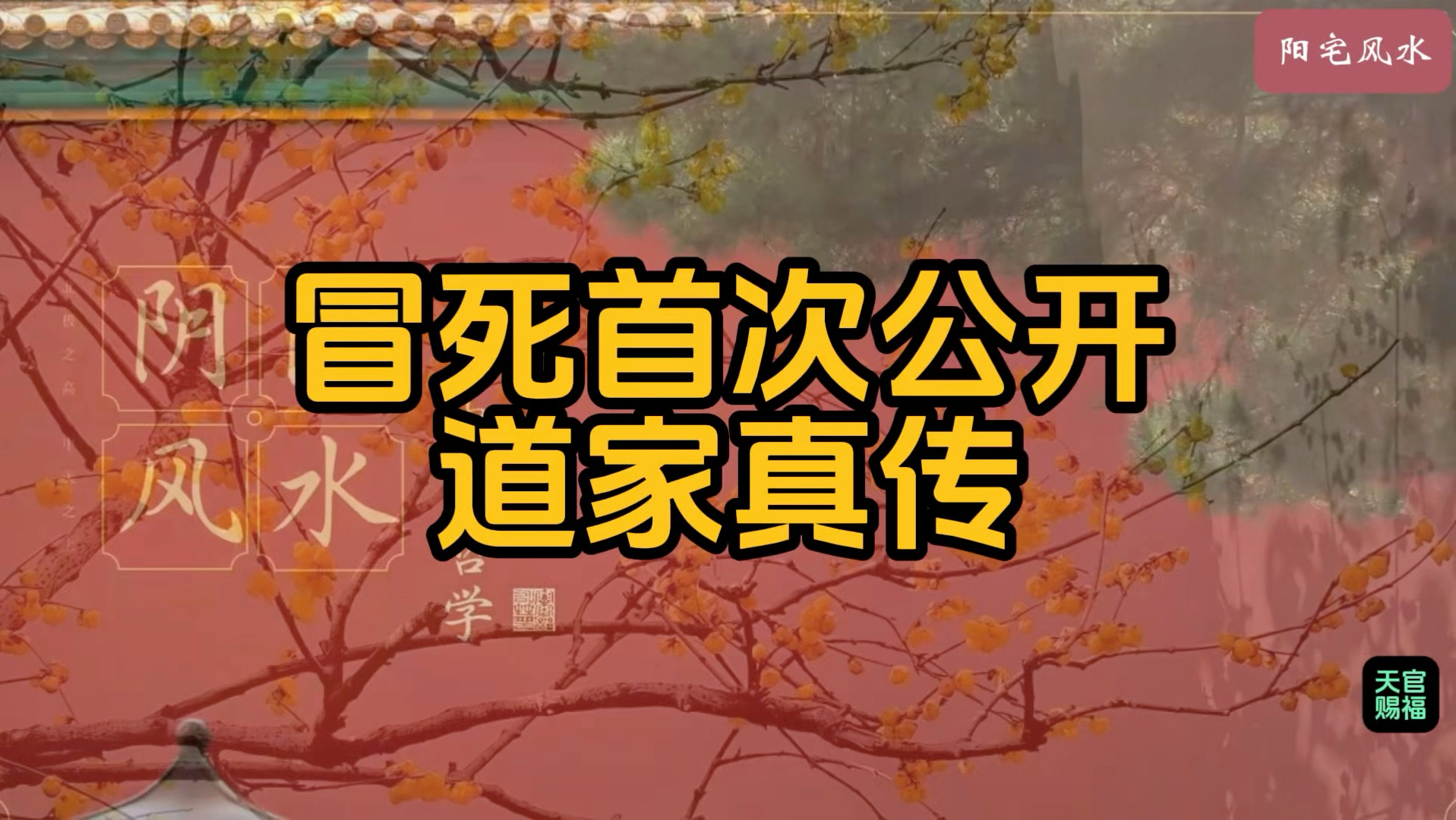 首次公开 道家真传（风水篇）