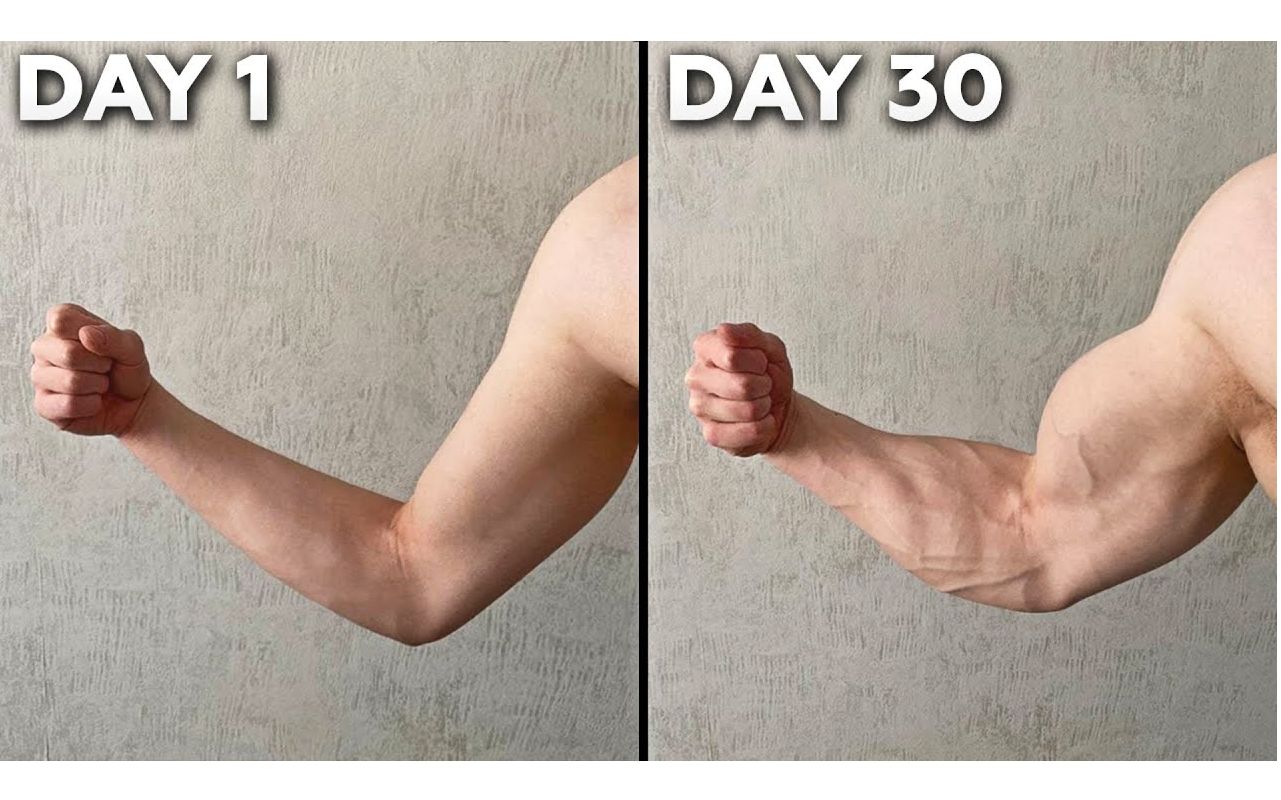 超强练臂！30天增大臂肌