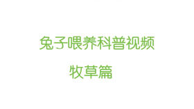 db196fff6e439bf093e4b26c20bbb76d11e50622.jpg@280w_158h_1c_100q.jpg