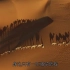 沙漠骆驼-高清原版纯享-无失真。