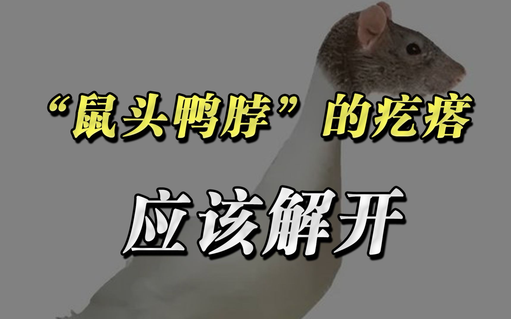 江西联合调查组认定“鼠头鸭脖”就是鼠头！_监管_食堂_调查结果