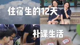 db4612a65aa057b9de459fe8dc1a489d5ec2041f.jpg@280w_158h_1c_100q.jpg