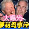 萝莉岛事件对教育的启示