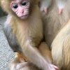小萌妹