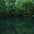 【4K 御射鹿池】朝霧　水面シンメトリーの美しさ　深緑の新緑