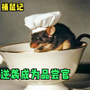 《捕鼠记》喜剧片