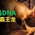 科学狂人用鸡DNA复活恐龙，是纯属胡闹还是真实可靠？