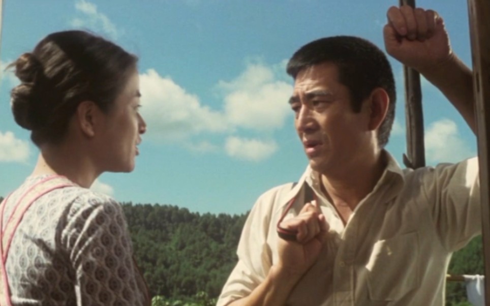 日本电影《幸福的黄手绢》配音片段:怀孕了