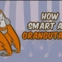 【Ted-ED】红毛猩猩有多聪明 How Smart Are Orangutans