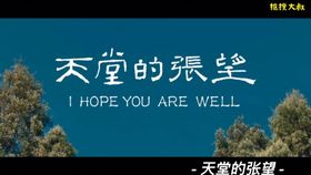 免费观看天堂的张望短剧，一场视觉与情感的盛宴，免费观看，张望短剧，视觉与情感的盛宴